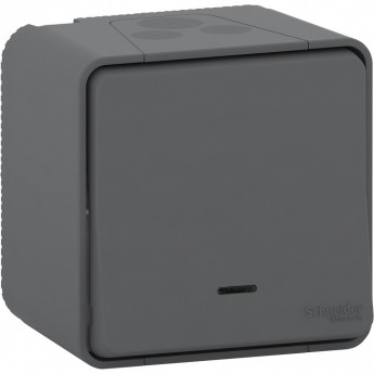 Переключатель SCHNEIDER ELECTRIC MUREVA S 1-клавишный, в сборе, О/У с подсветкой антрацит, IP55